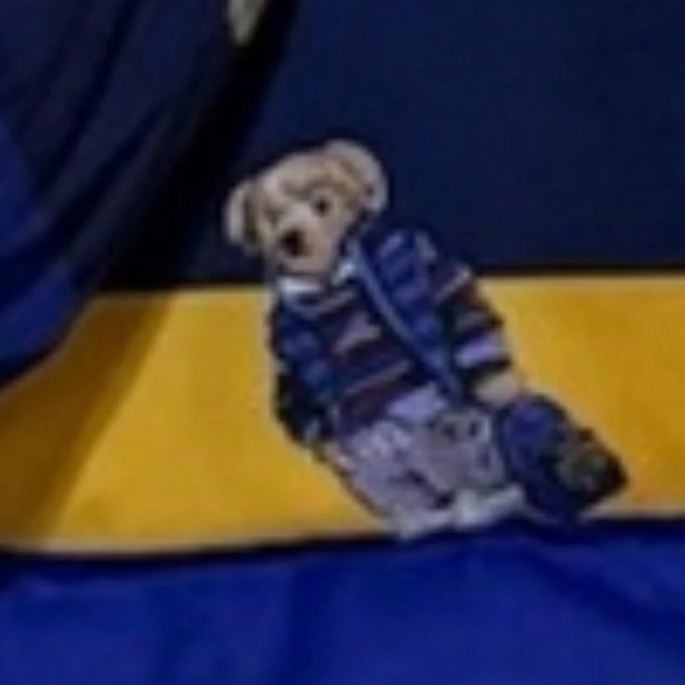 Polo Ralph Lauren Striped Allover Bear Print Puffer Jacket in Navy Yellow 4T